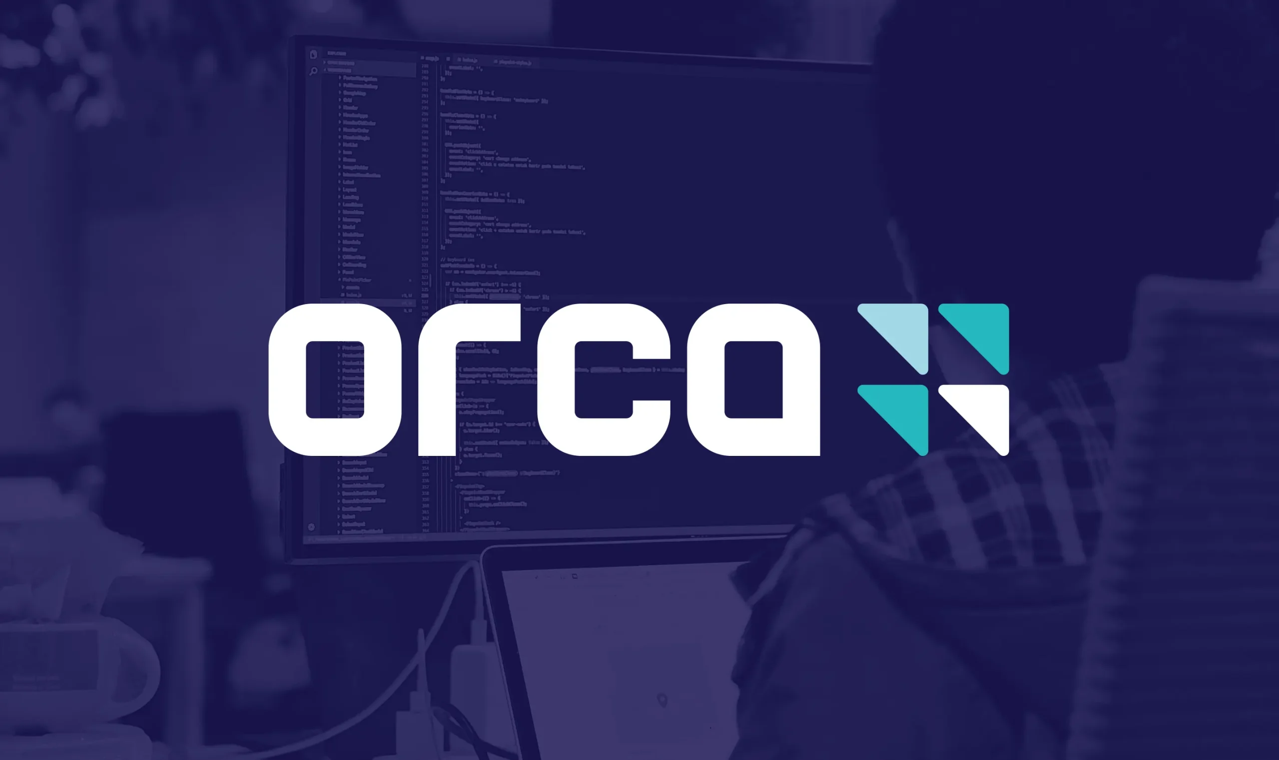 Orca logo feature